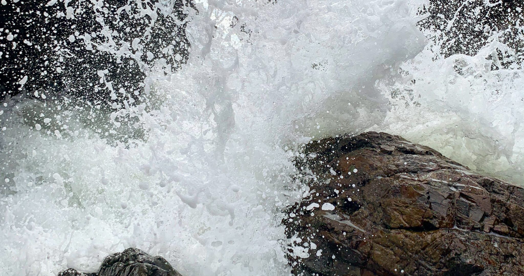 9C63A9CB-751B-4158-9653-24A4258776FC